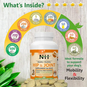 Hip & Joint Supplement for Dogs